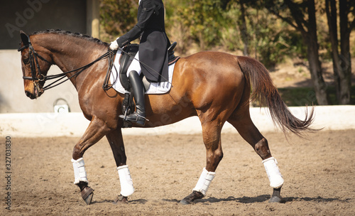 Caucasian woman riding her dressage horse photo