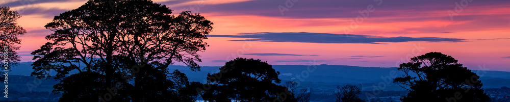 Sunset & tree silhouettes, as a beautiful panorama design - in header or banner format.