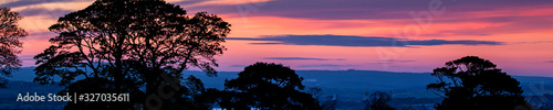 Sunset & tree silhouettes, as a beautiful panorama design - in header or banner format.