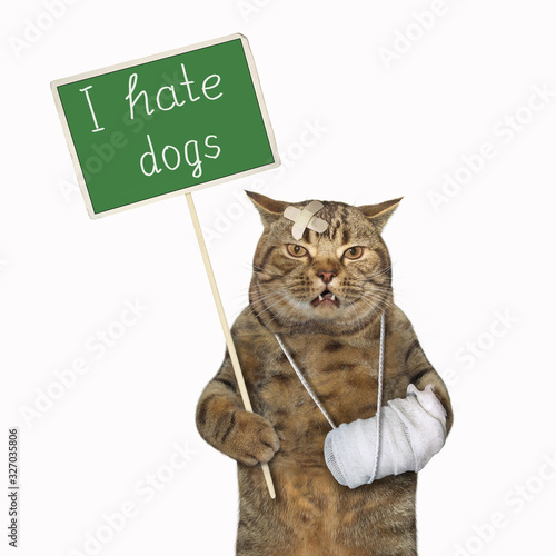 The beige cat with a broken leg is holding a green protest sign that says I hate dogs. White background. Isolated.