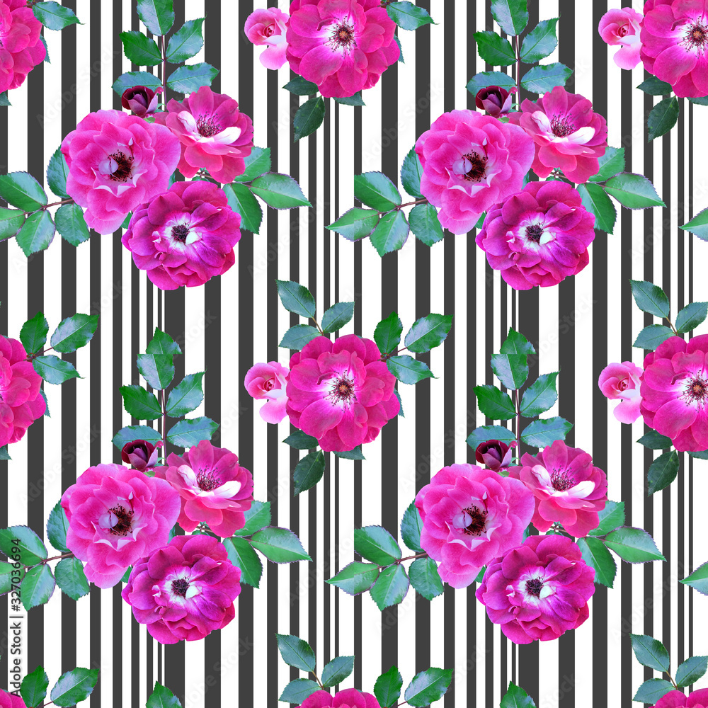 Obraz premium Photo realistic seamless pattern of terry bright pink rose hips on a black and white striped background, floral background, print for fabrics and other designs.