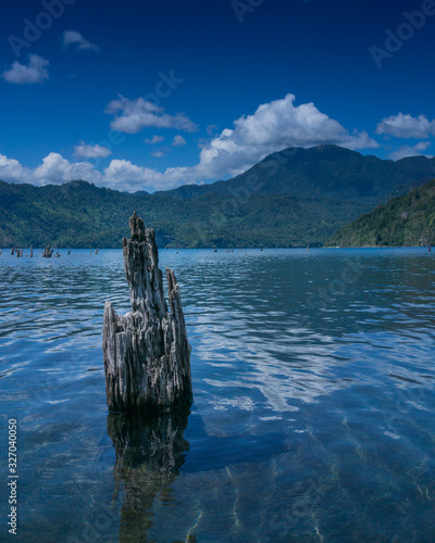 Lago Pellaifa - Chile