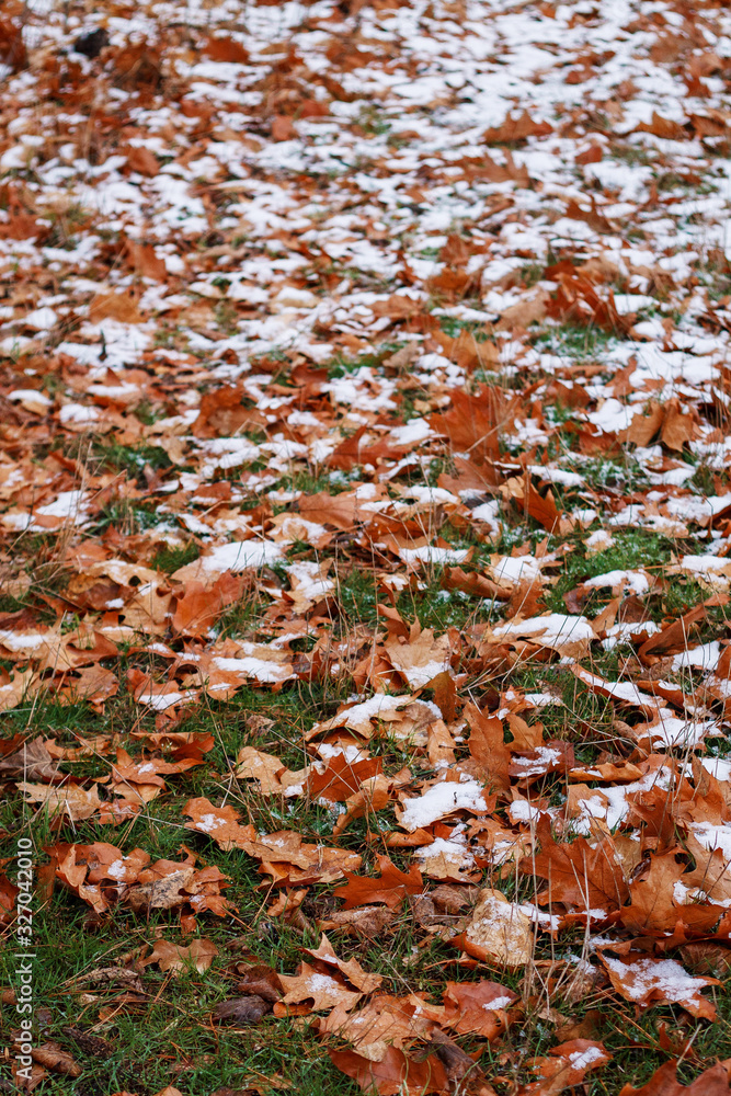 first snow first snow