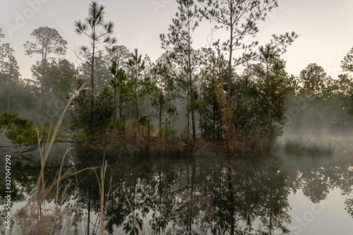 Morning on a foggy pond