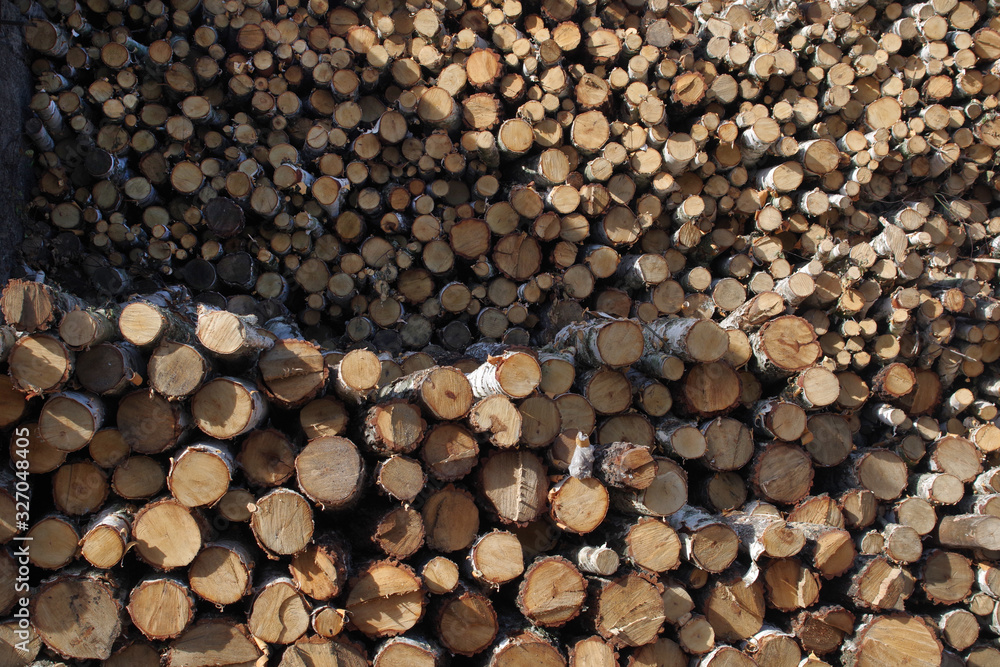 wood, log, firewood, tree, timber, stack, pile, woodpile wood, log, firewood, tree, timber, stack, pile, woodpile