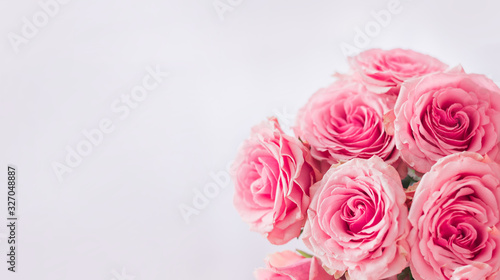 Flower frame, banner. Delicate card with pink roses on a white background. Space for text.