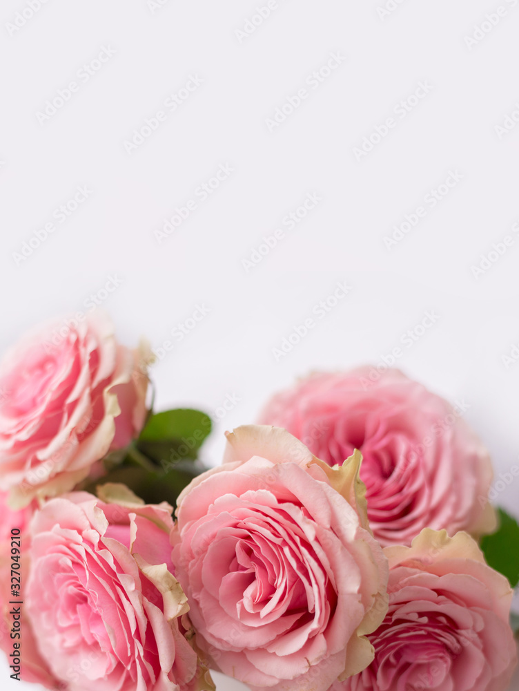 Flower frame, banner. Delicate card with pink roses on a white background. Space for text.