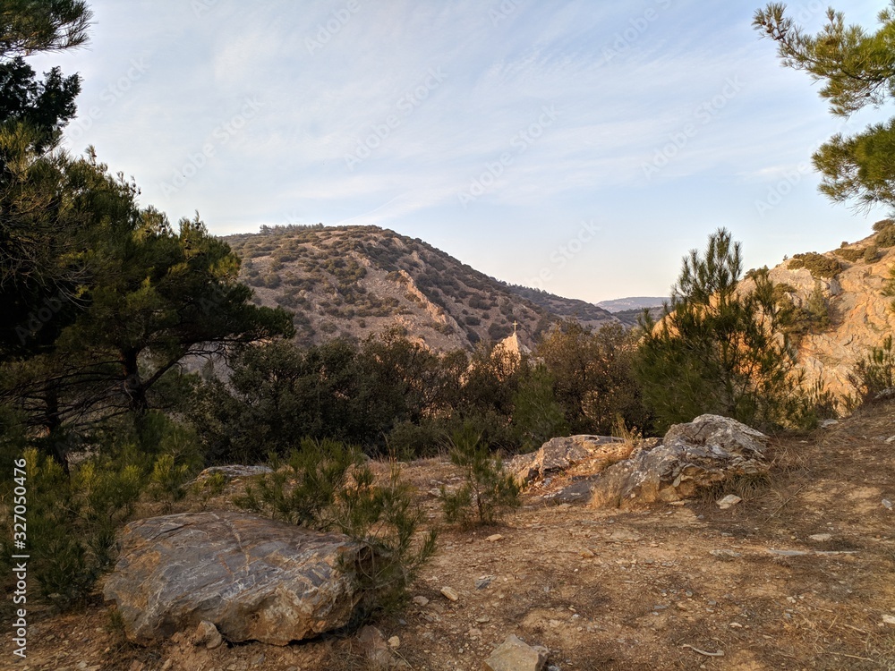 landscape in the mountains,trees,pines