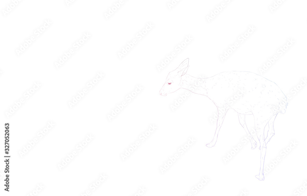 写実的な動物イラスト、虹色の雌鹿の姿 写実的な動物イラスト、虹色の雌鹿の姿