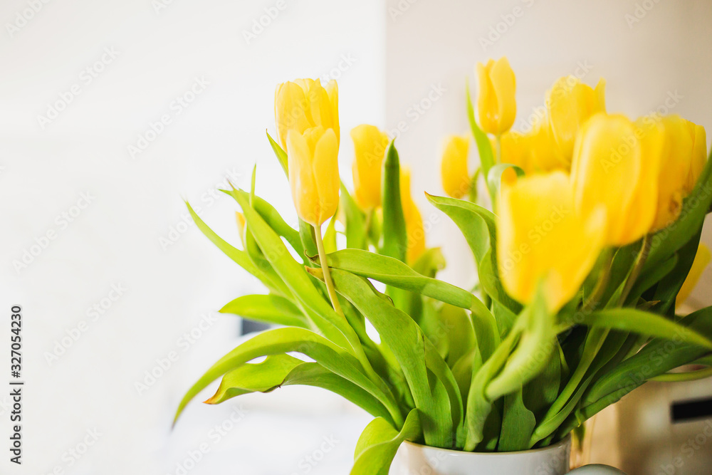 Large thick bouquet of yellow tulips in a bright room on a bright background of sunlight Large thick bouquet of yellow tulips in a bright room on a bright background of sunlight