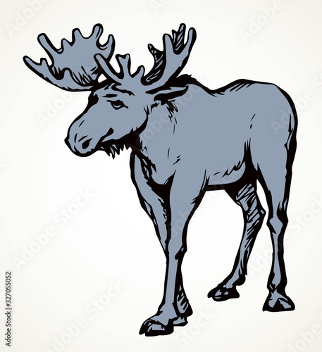 Big horned elk. Vector drawing