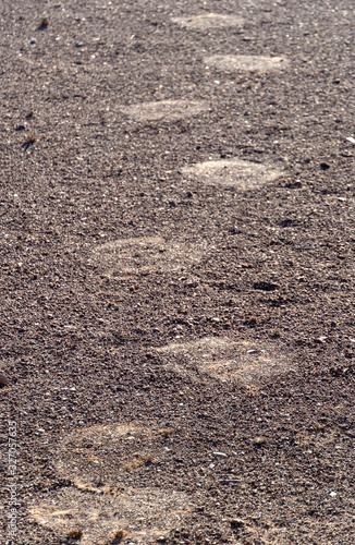 Elefantenspur im Damaraland, Fährte des Dickhäuter photo