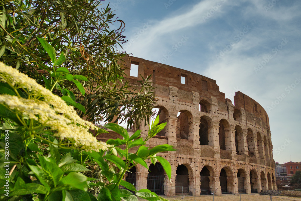 Obraz premium Colosseum. Rome amphitheatre and Italy landmark