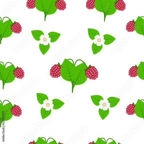 Berries and flowers raspberry with green leaves on a white background. Seamless pattern of juicy berries. Vector illustration of the basic design.