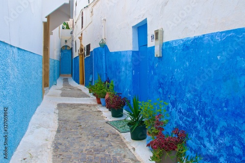 Narrow alley with blue walls and flower pots in Oudaya Kasbah in Rabat, Morocco © bleung