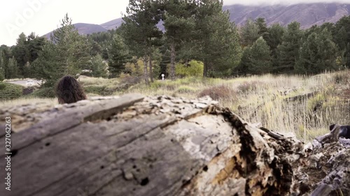 Dynamic shooting of a girl and dog walking in the woods