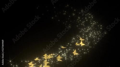 蝶が羽ばたきながら舞い上がる