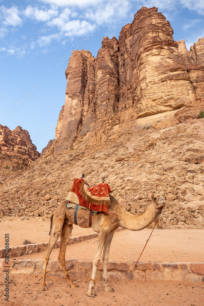 Fototapeta Wadi Rum Desert in Jordan