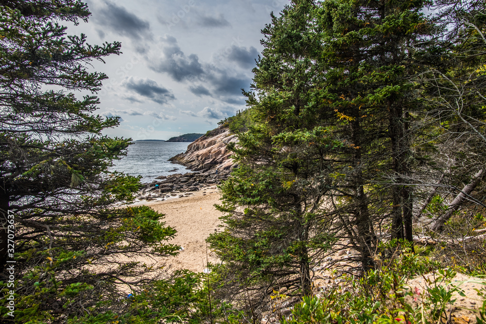 Fototapeta premium Acadia National Park Beach