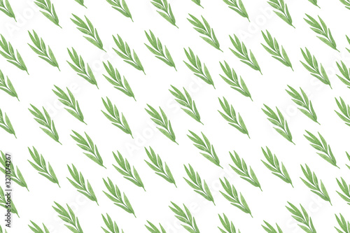 Repeat pattern of watercolor fancy leaves branches on the white background  hand drawn illustration