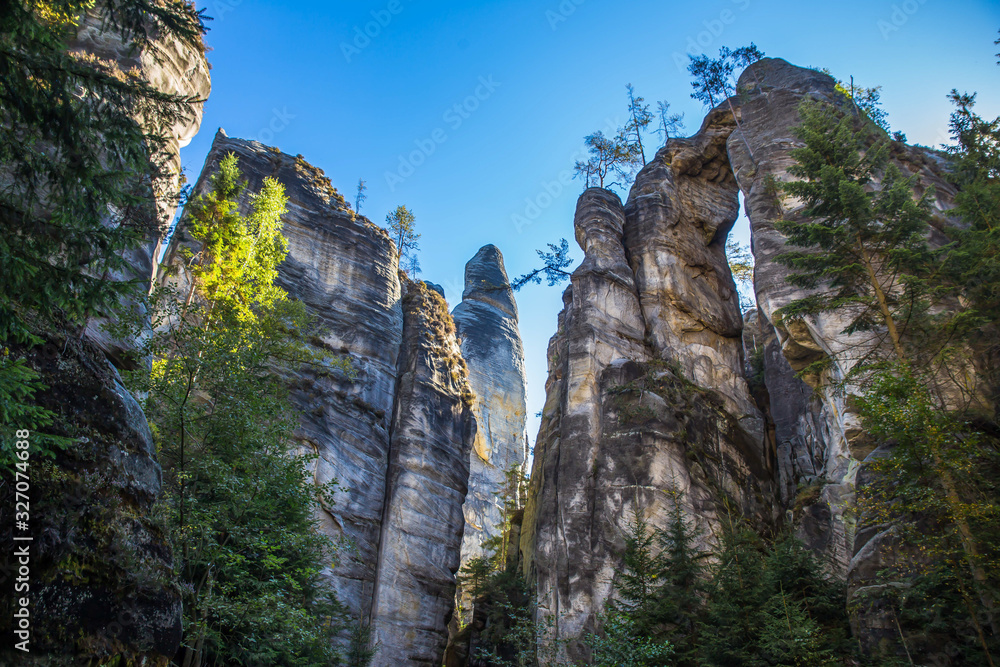 Rock forest in the Czech Republic
