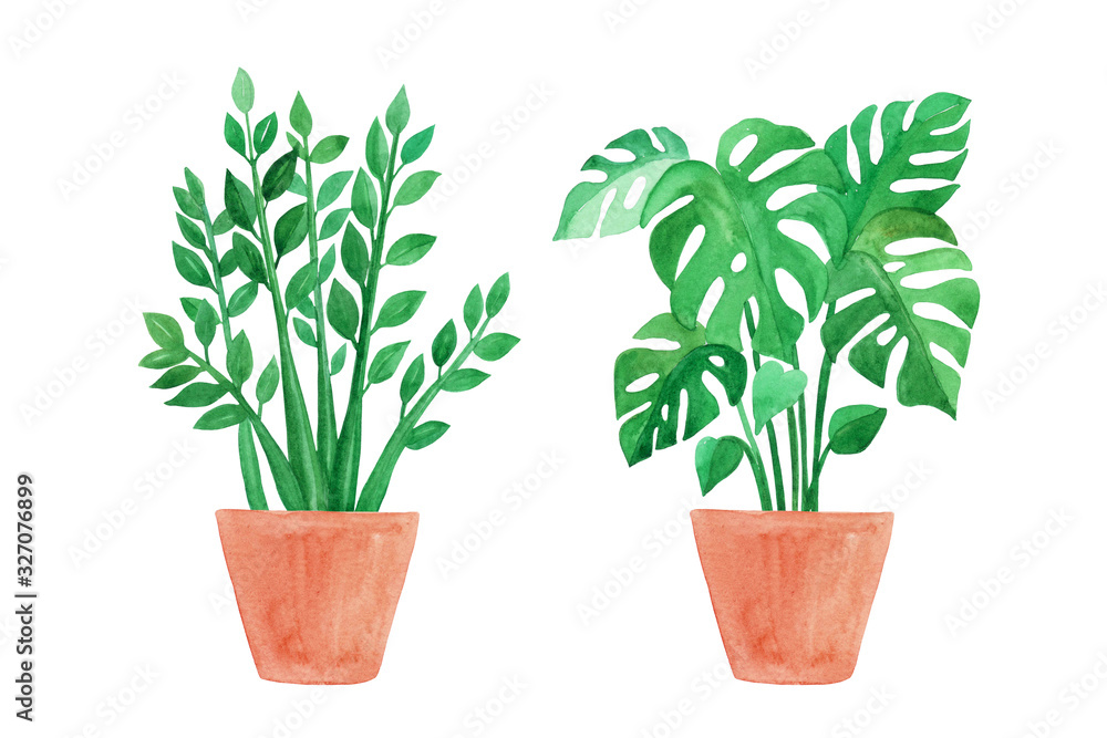 Fototapeta premium Watercolor hand painted house green plants in flower pots. Urban tropical jungle. Set of floral elements isolated on white. Monstera and Zalmioculcas.