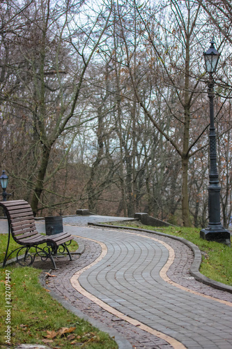 A trail and a bench in the park.