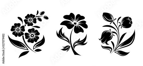 Vector black silhouettes of flowers isolated on a white background. photo