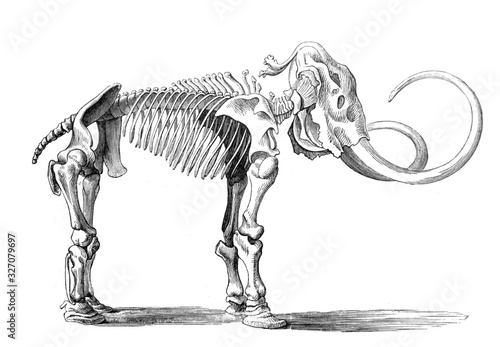 Valokuva The skeleton of mammoth in the old book Meyers Lexicon, vol