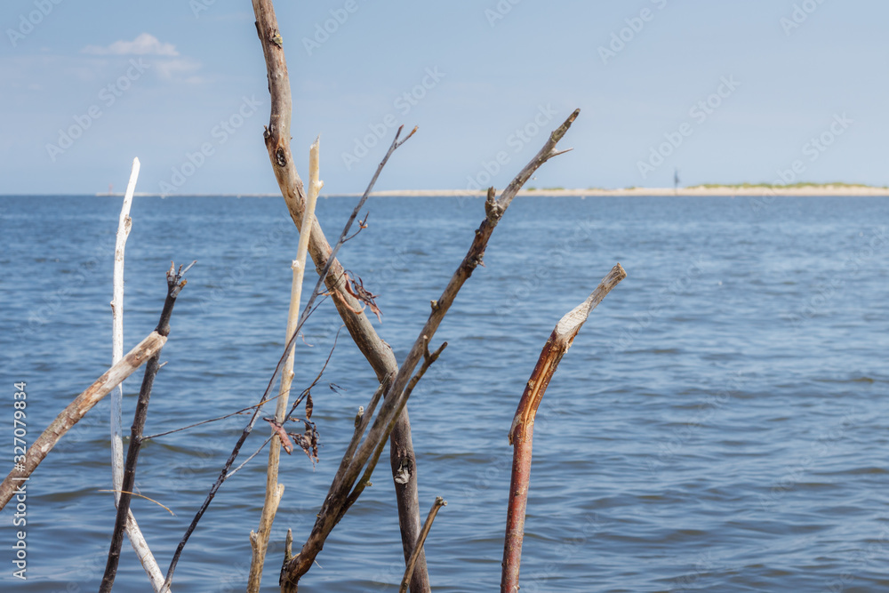 Dried sticks on a background of calm sea