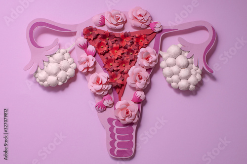 Concept polycystic ovary syndrome, PCOS. Women reproductive system. photo