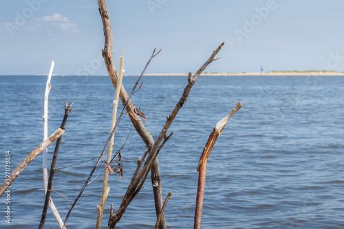 Dried sticks on a background of calm sea © Krzysztof Stasiak