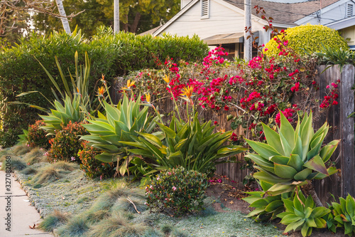 Obraz na plátne California home drought tolerant plants for landscape design