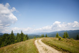 Hiking in Carpathian landscape. Dirt road in the mountains. Rural landscape in Carpatians, Mount Kostrycha, Ukraine. Coniferous forest and beautiful sky. Beech tree. Panorama of mountains