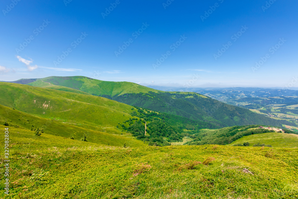 green rolling hills of mountain ridge borzhava. grassy alpine meadows beneath a blue sky with some clouds. beautiful summer landscape of carpathian highlands. velykyy verkh summit in the distance