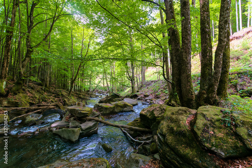 water stream in the beech forest. stunning nature scenery in spring, trees in fresh green foliage. mossy rocks and boulders on the shore. warm sunny weather