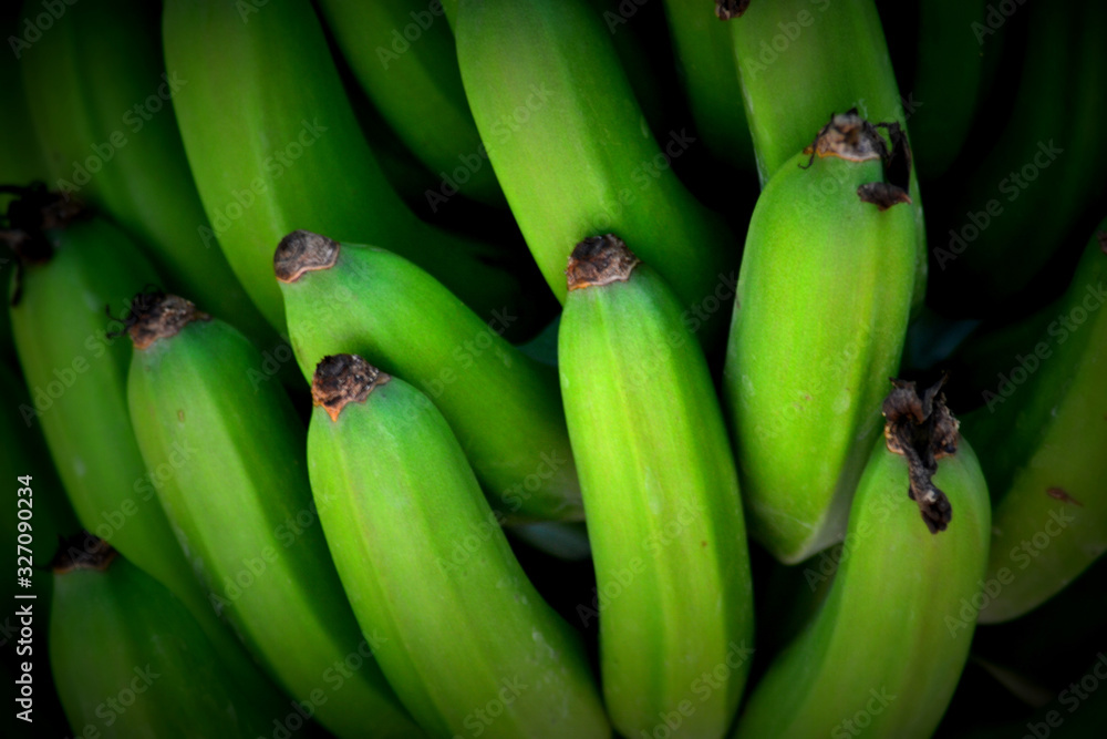 Green Bunch of Bananas