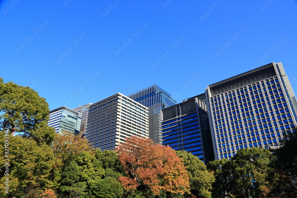 東京都心に広がる森とオフィスビル群