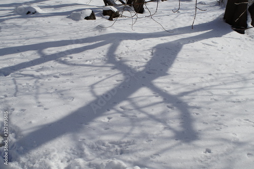 snow, snow removal, trees in the snow, winter in the city, streets in the snow, public utilities, lights in the snow, winter day