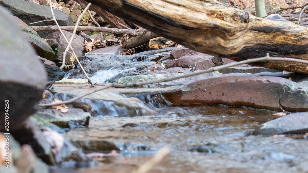A Shot Looking Under a fallen tree branch at a small flowing creek A Shot Looking Under a fallen tree branch at a small flowing creek