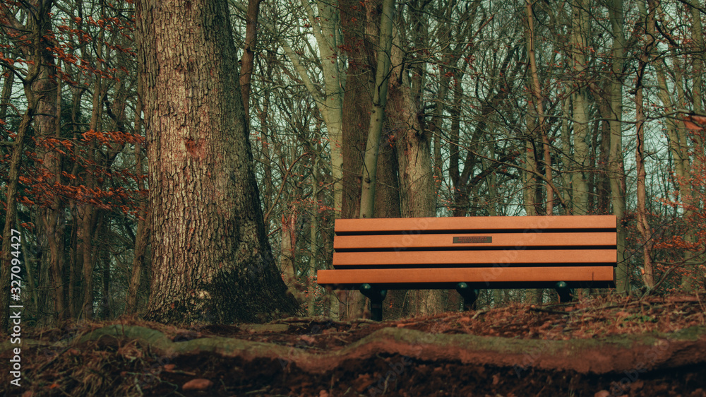 An orange wooden park bench in a dead winter forest An orange wooden park bench in a dead winter forest