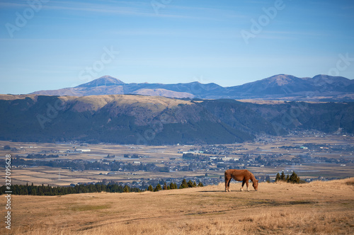 熊本県阿蘇の馬。阿蘇山のカルデラの風景。