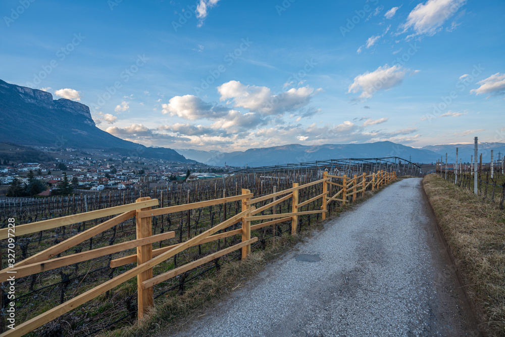 Vineyards, apple and grape orchards in Eppan an der Weinstrasse in northern Italy, south Tyrol.