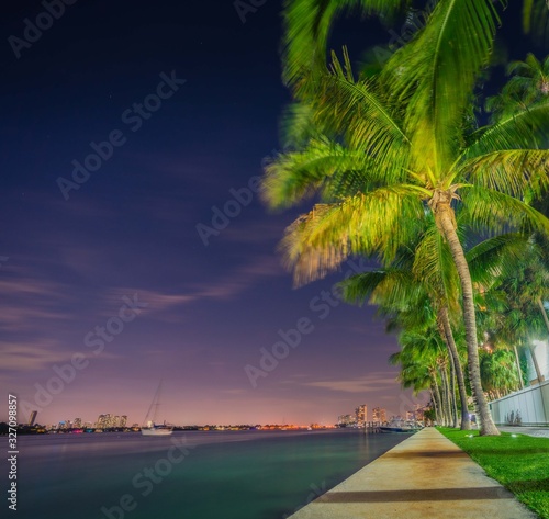 beach palm sea tropical ocean sky tree island sunset dusk aquatic miami florida summer vacation beautiful coast eden landscape