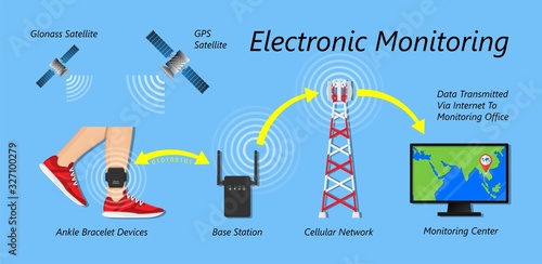 electronic monitoring EM tagging system tag territory offences  perpetrator