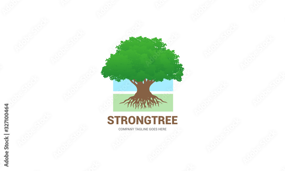 Big Tree Logo - Oak Tree Vector