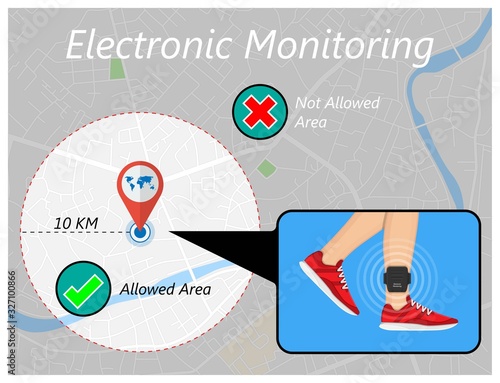 electronic monitoring EM tagging system tag territory offences  perpetrator