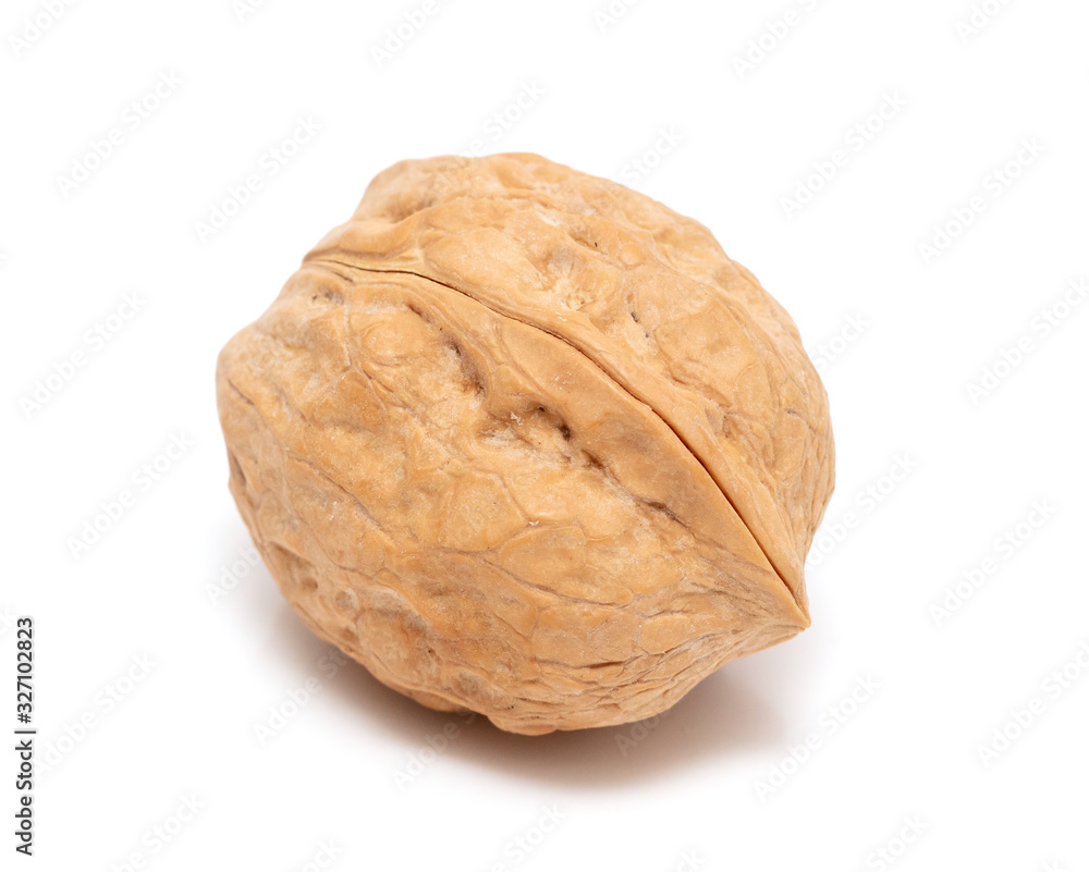 Walnut isolated on a white background Walnut isolated on a white background