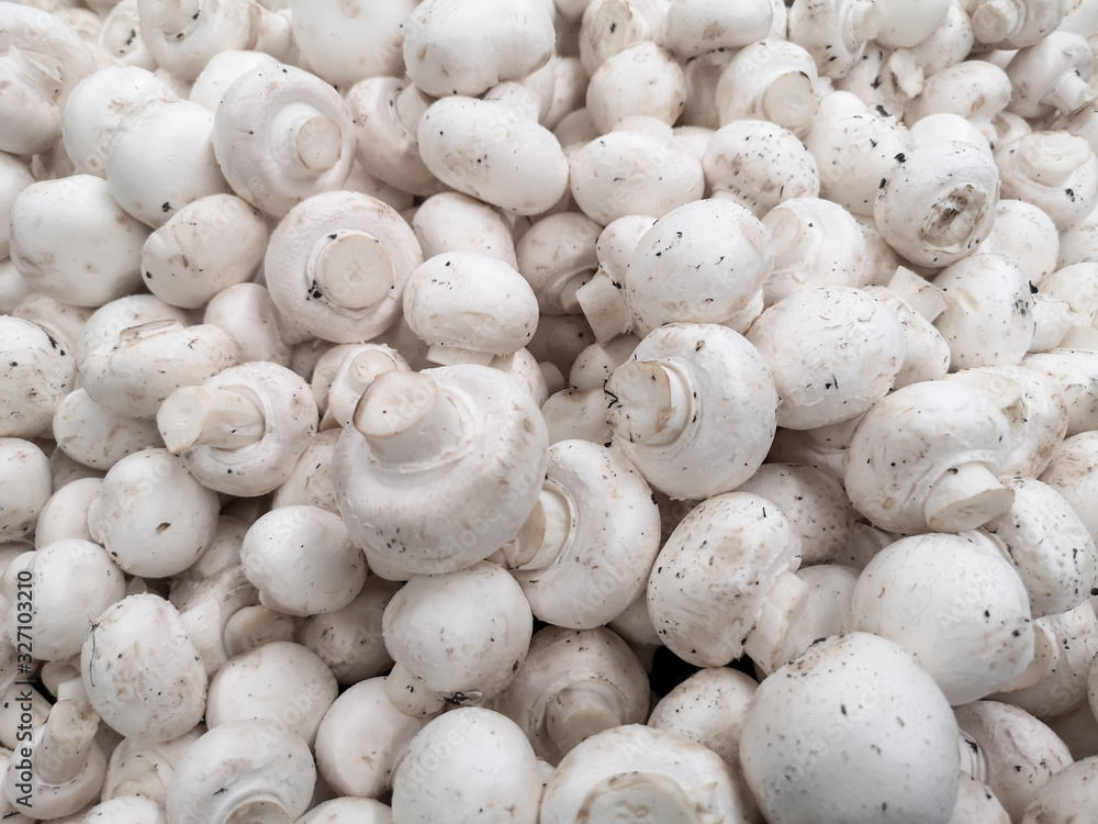 White champignons on a shelf in a store White champignons on a shelf in a store