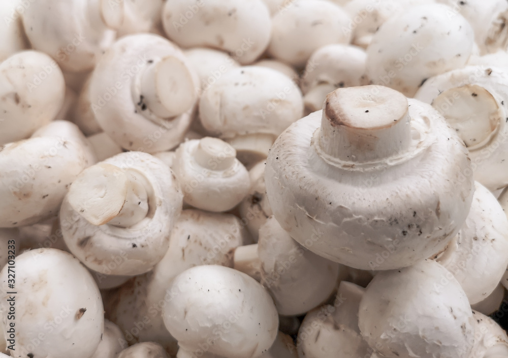 White champignons on a shelf in a store White champignons on a shelf in a store